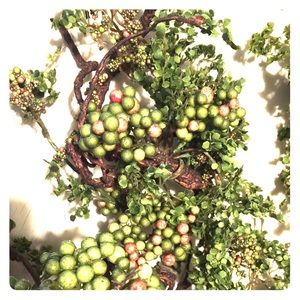 Berries and Greenery Garland 3 for $16